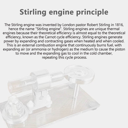 STL-HS Beta Hot Air Stirling Engine Model with Horizontal Flywheel and Wooden Base Stirling Engine Diyengmod