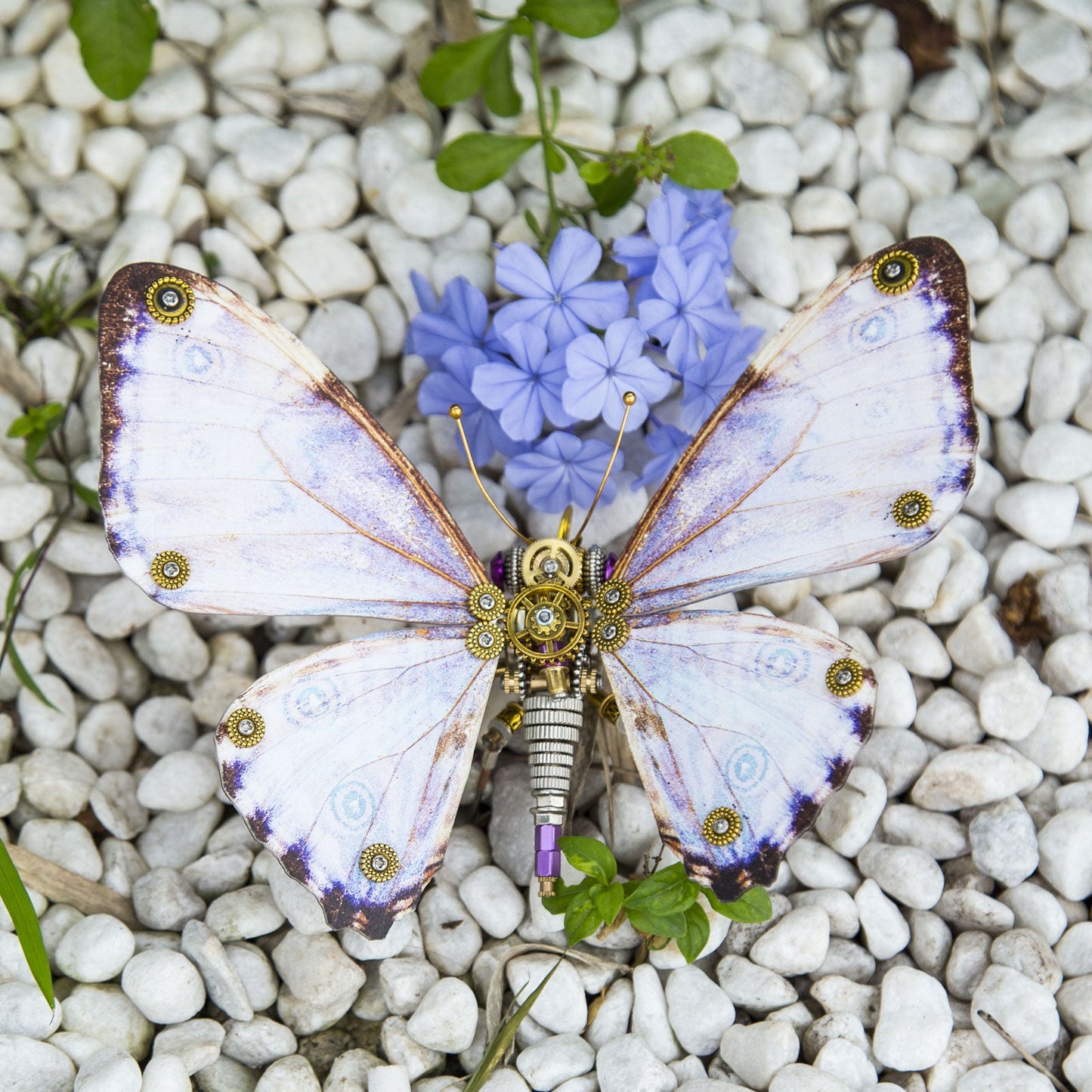 Steampunk Butterfly Metal Model Puzzle Kit for Creative DIY Enthusiasts (150+ Pieces) 3D Puzzle Model Kit Diyengmod