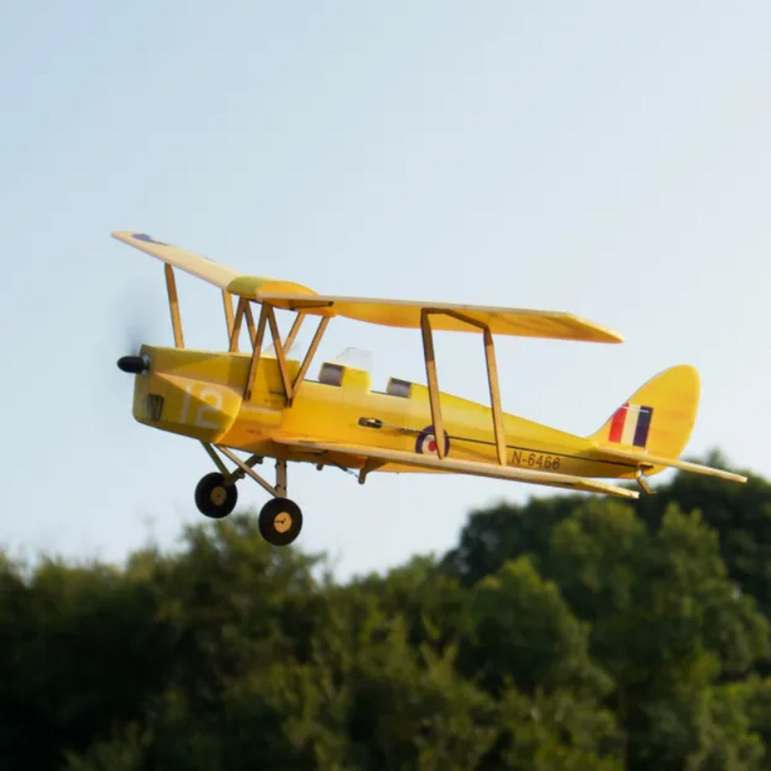 MinimumRC Tigermoth 4CH Ready-to-Fly Mini RC Biplane Airplane Model RC Airplane Diyengmod