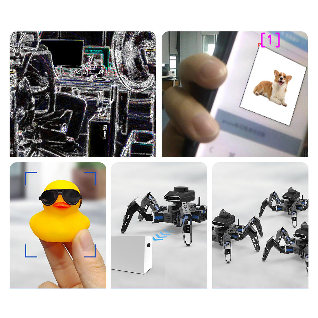 Bionic Metal Spider Robot Kit: Programmable DIY Intelligent Engineering Toy with Advanced Features Diyengmod