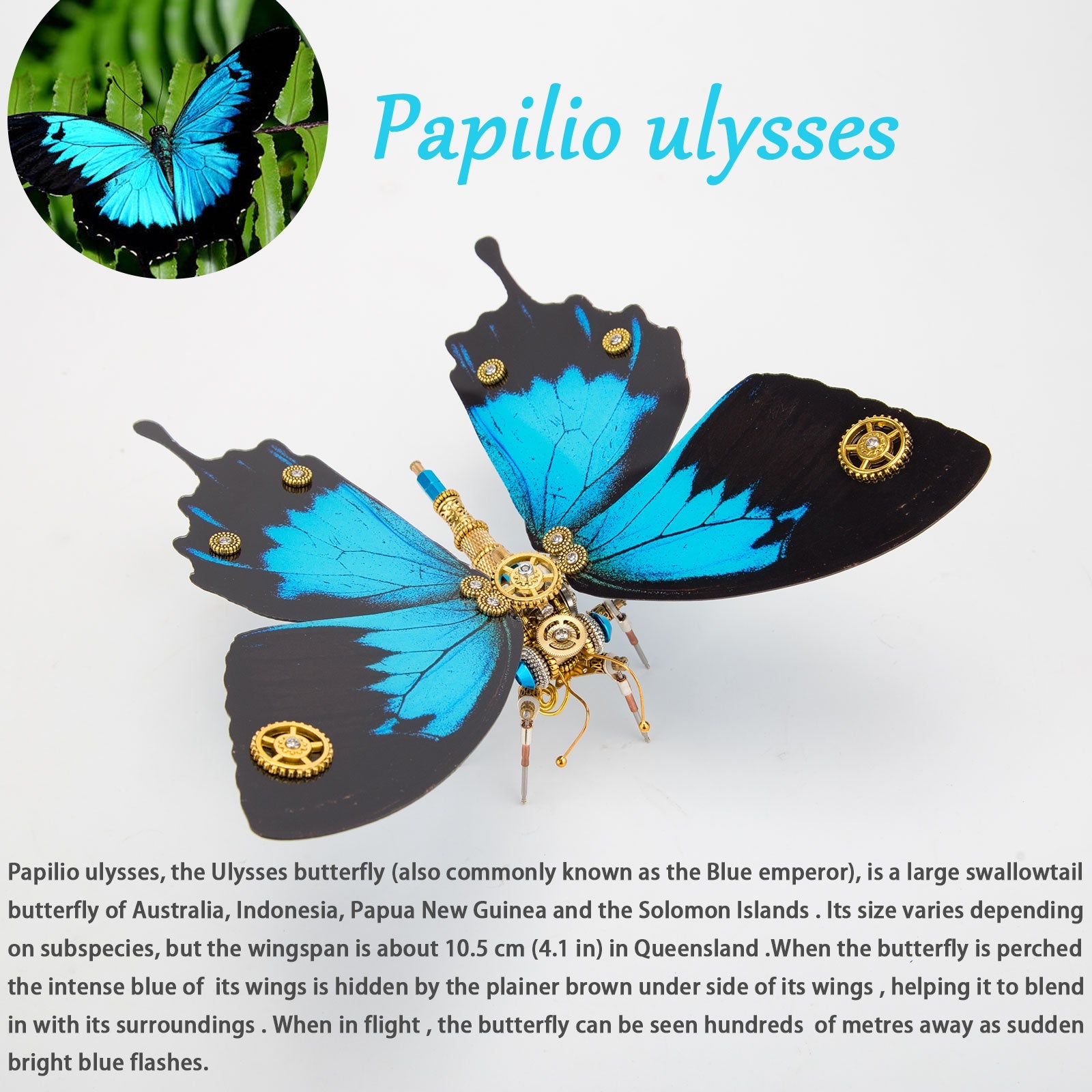 Steampunk 3D Metal Butterfly Model Kit - 3 Distinct Styles: Morpho Helena, Papilio Ulysses & Dichorragia Nesimachus (200+ Parts, Blue) 3D Puzzle Model Kit Diyengmod